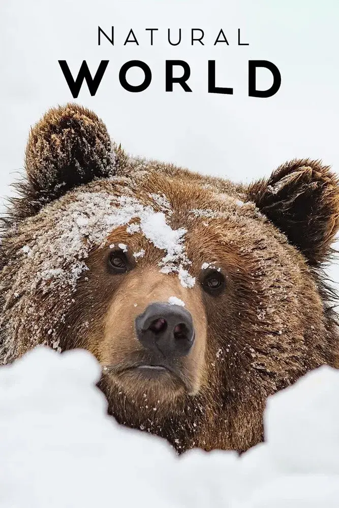 France: The Wild Side